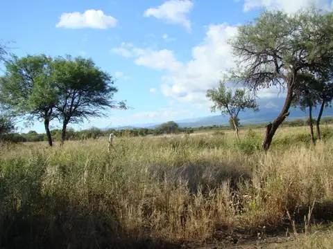 VENTA DE CHACRAS EN SAN JAVIER CORDOBA