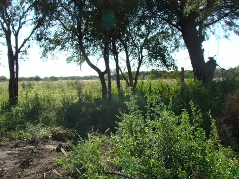 VENTA DE CHACRAS EN SAN JAVIER CORDOBA
