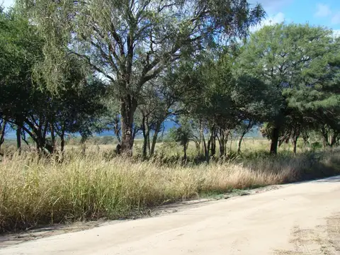 Terreno en Venta de 50000,0 m2