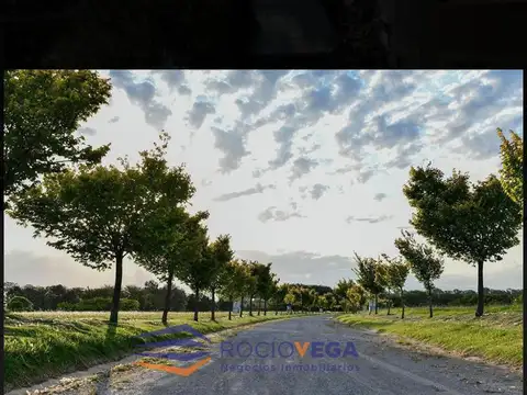 Terreno en Venta de 2000,0 m2