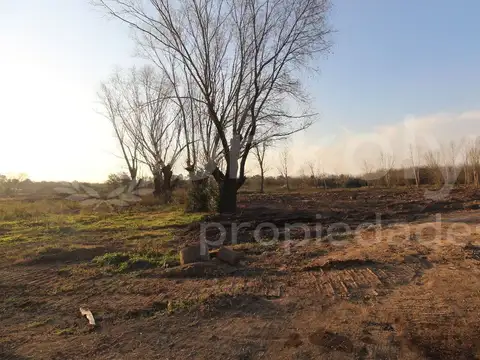 Terreno en Venta de 971,0 m2