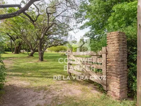 Quinta sobre gran terreno arbolado