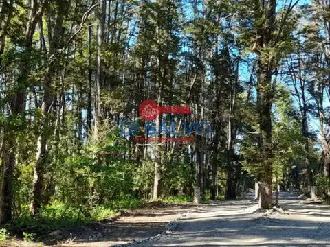 Terreno en Venta en Lago Puelo, USD 19.000