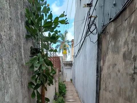 Santa Teresa 1000