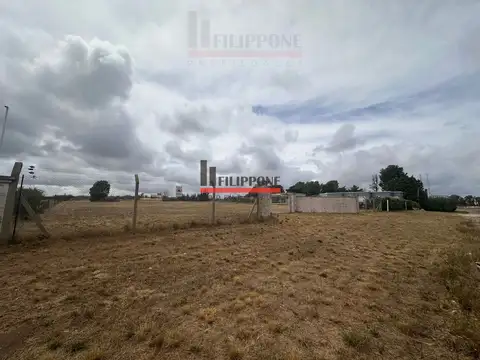 Los Churrinches 5000