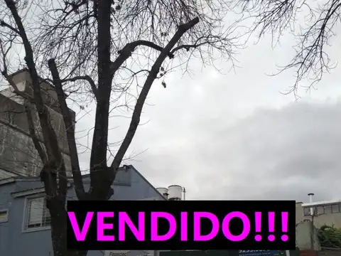 Leon P Altolaguirre 3500