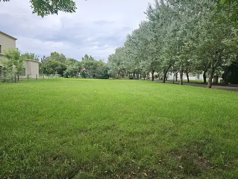 Venta  Lote en Haras del Sur 1330m2 oportunidad