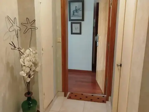 Alberti 55