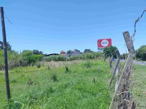 VENTA LOTE PALOMAR- ACCESO OESTE
