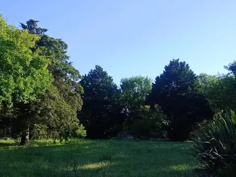 12 Y 419