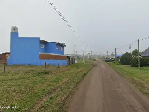 Las Rosas y Las Camelias