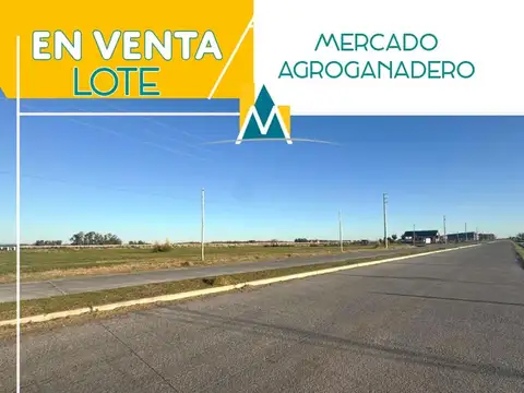 Lote en venta Mercado Agro-Ganadero 