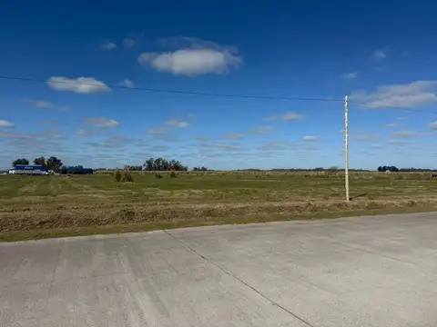 Ruta 6 - Mercado Ganadero Km88