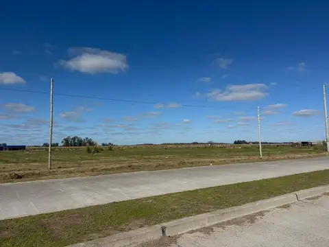 Ruta 6 - Mercado Ganadero Km88