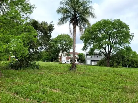 Santa Cecilia