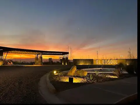VENTA LOTE EN EL BOSQUE 1,RODEO DEL MEDIO,MENDOZA
