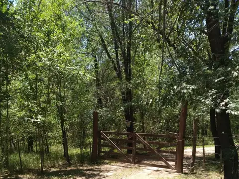 Ruta 5 KM 5