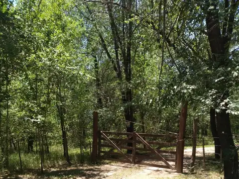 Ruta 5 KM 5