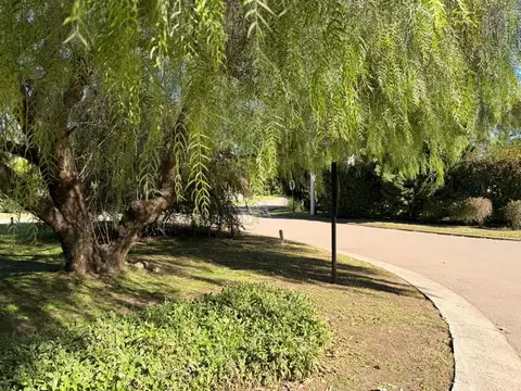 Terreno en Venta de 1100,0 m2