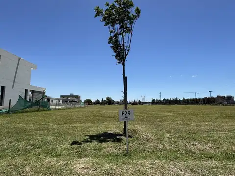 Terreno en Venta de 830,0 m2