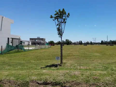 Los pasos del Jockey 4