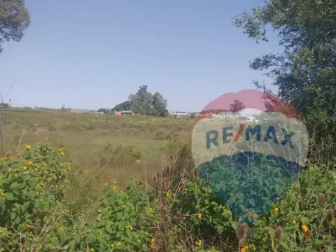 CAMPO/FRACCION  DE 1,25 hectareás CALLE 615 Y 25.