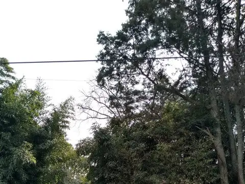 Terreno en Venta en Tortuguitas, USD 30.000