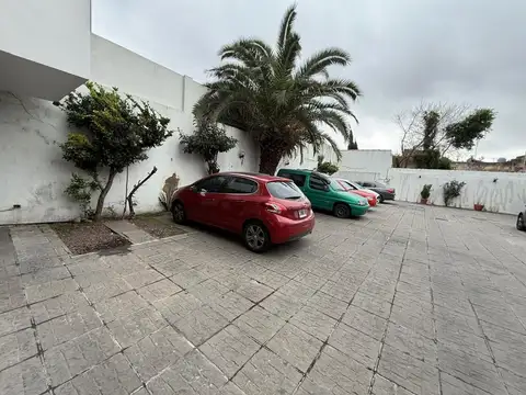 Departamento en Alquiler Permite mascota
