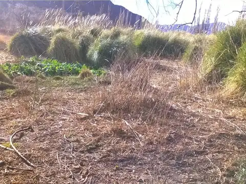 Cachi Adentro Fincha/chacra Totalmente Plana Al Pié De Los Cerros Del Secadero Con Proyecto Turistico Aprobado 1200