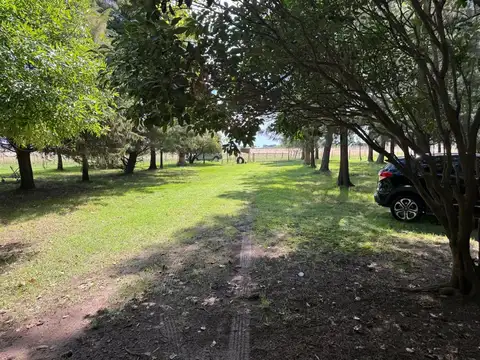 Campo en Venta de 203  ha