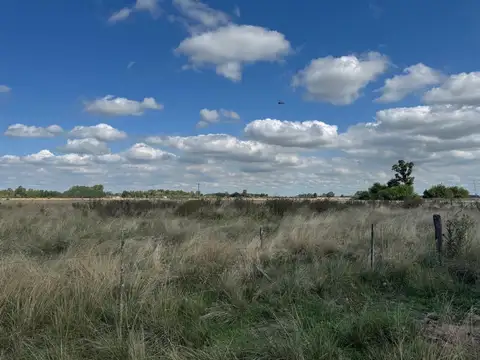 Campo en venta en km. 69 de la ruta 2 partido de La Plata