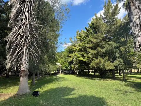 Campo en Venta Ganadero
