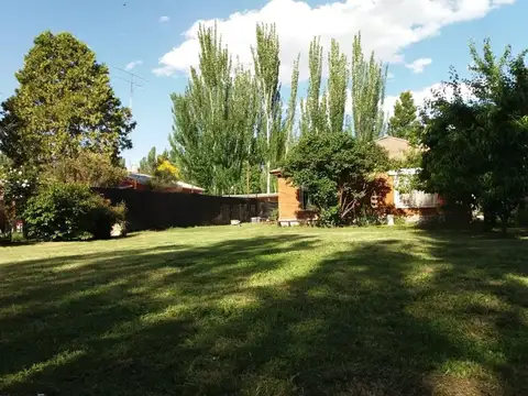 Quinta en Venta en Villa Regina, USD 90.000