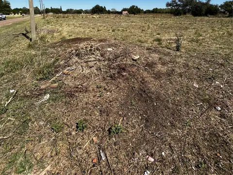Uruguay y batalla de Cepeda