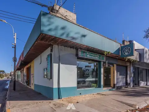 Aparicio Saravia 4600