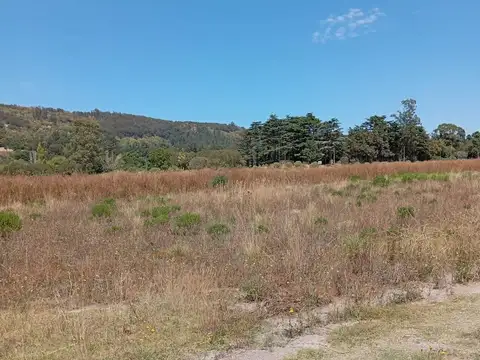 LOTE DE 1000 MTS EN BARRIO BELLA VISTA, BALCARCE