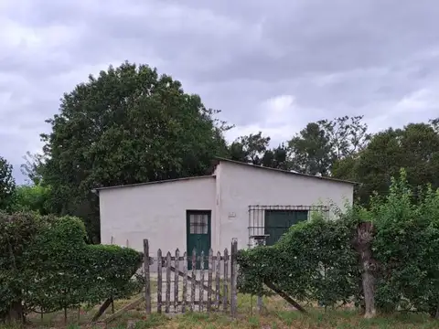 Cerrito Y Edison