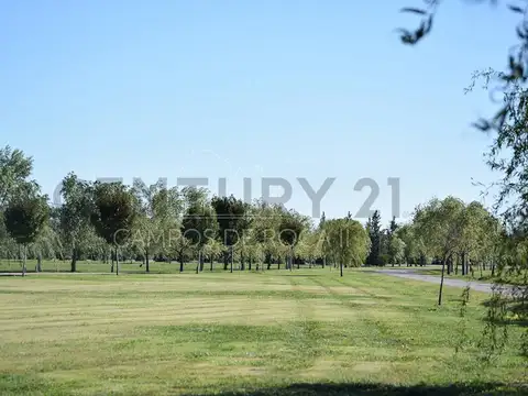 VENTA DE TERRENO LOTE EN CAMPOS DE ROCA II