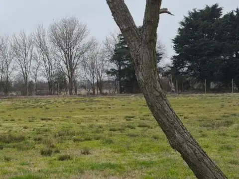 Venta | Lote 1564m2 | Haras San Pablo (Ruta 6, Km 149,5, General Rodríguez) | Apto crédito