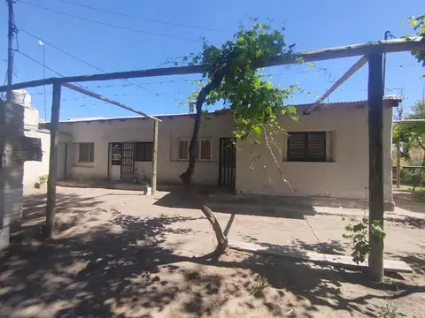 Venta Finca Vitícola en Chachingo 13 has