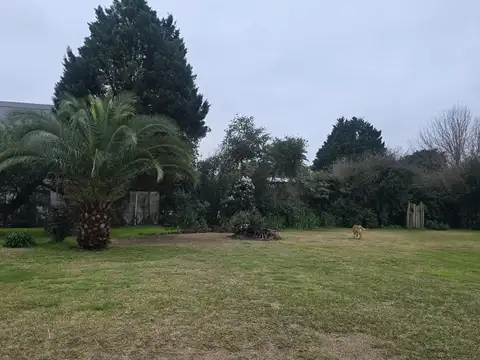 CASA  Y CABAÑAS EN VENTA - LOBOS - B° VINELLI