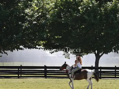 Terreno en Venta de 1200,0 m2