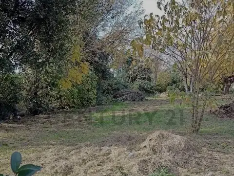 Loyala 5000, Piso 5000