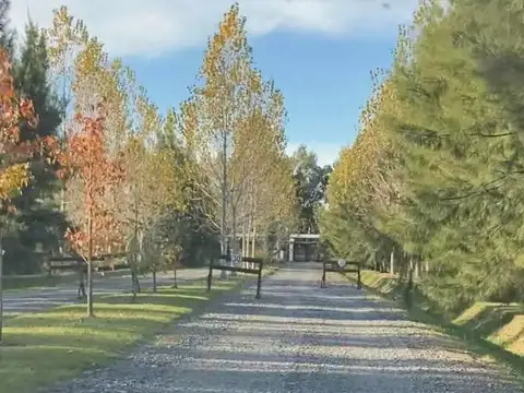 Terreno en Venta de 1000,0 m2