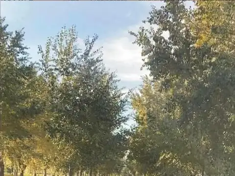 Terreno en Venta en Countries y Barrios Cerrados en Brandsen, $ 17.500.000