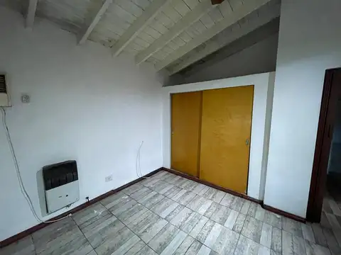 Eucalipto 2100