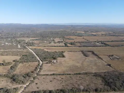 Calle Publica
