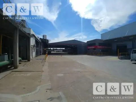 Galpon en Alquiler en Ricardo Rojas, USD 15.600