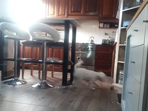 Depto Tipo Casa 4 ambientes con 1 baño