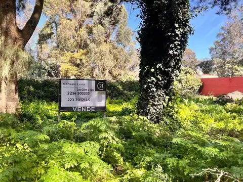 Venta Lote, Barrio Las Dalias, Mar del Plata.